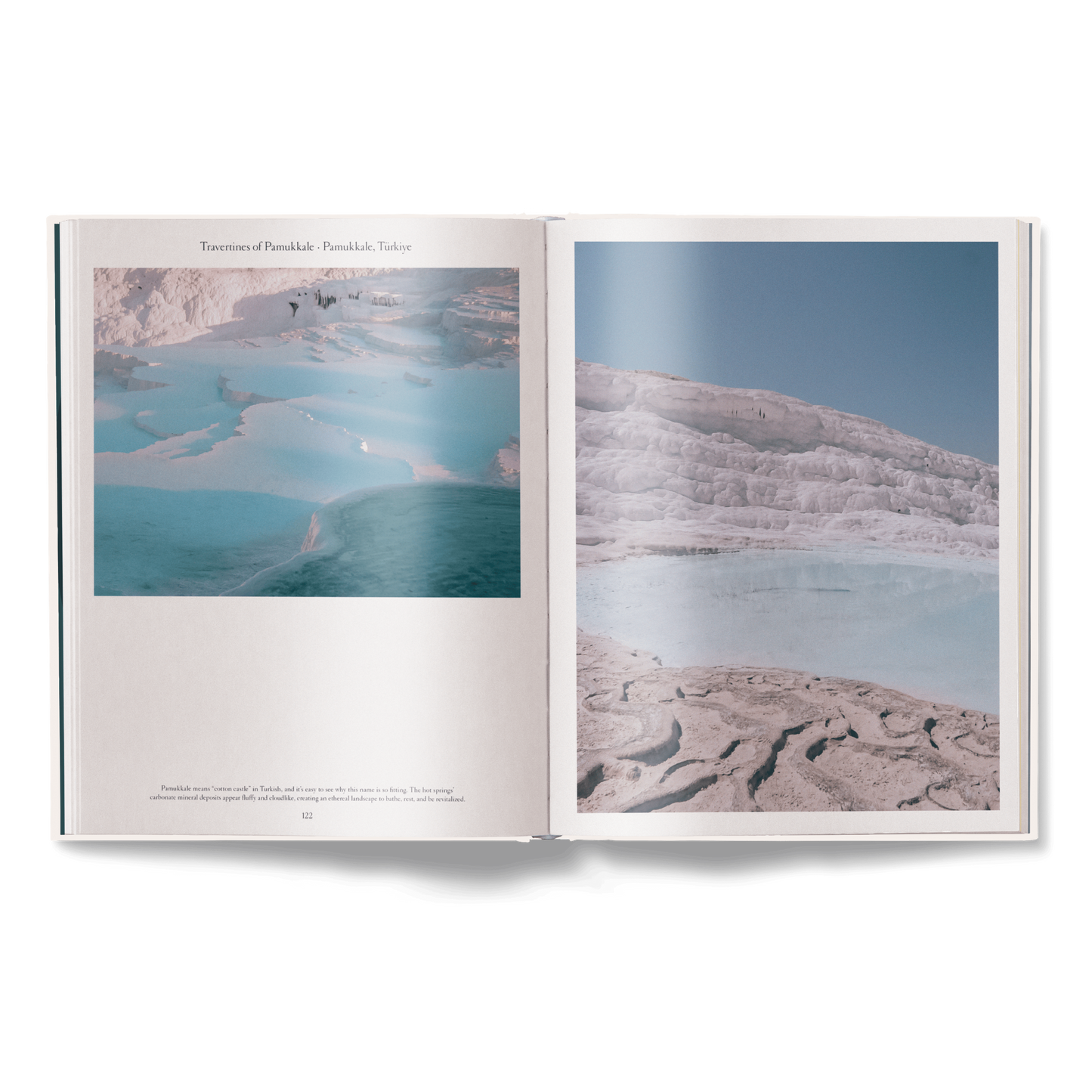 The Nature of Swimming (Updated Edition) Book