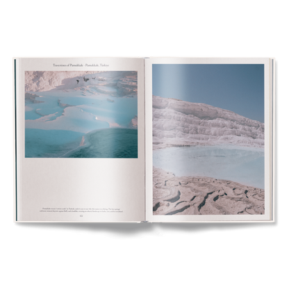The Nature of Swimming (Updated Edition) Book