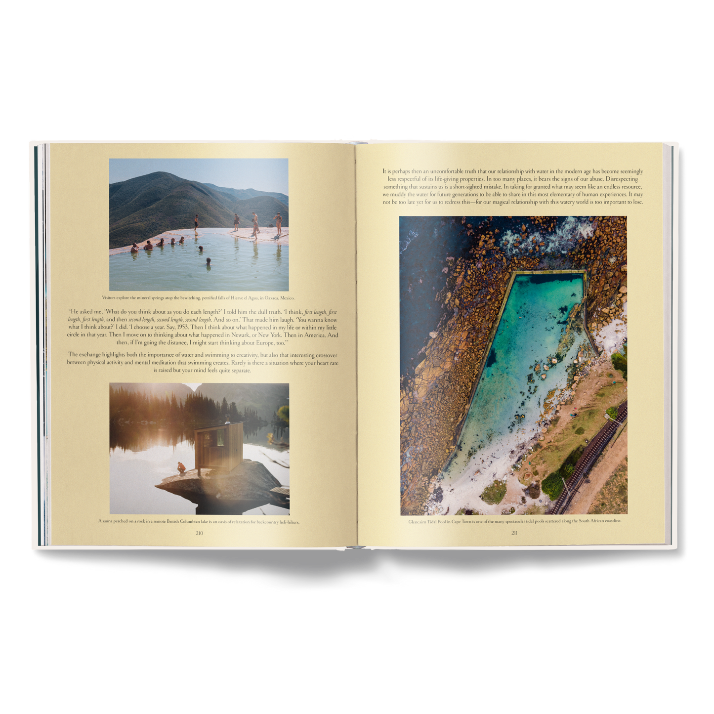 The Nature of Swimming (Updated Edition) Book