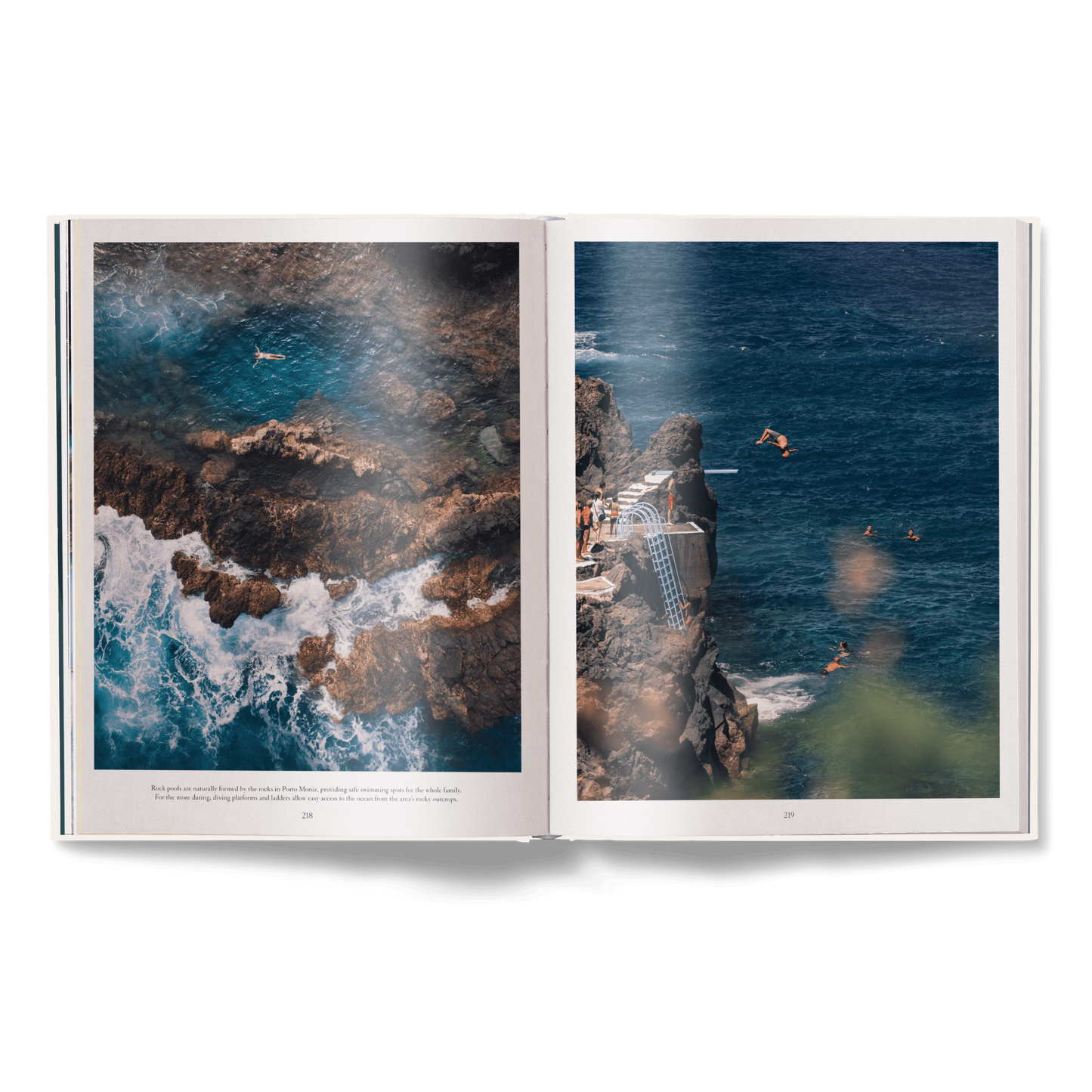 The Nature of Swimming (Updated Edition) Book