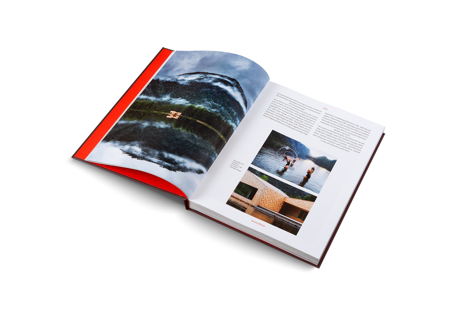 Ridiculously Good-Looking Saunas Book