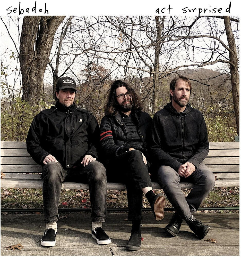 Sebadoh – Act Surprised (LP Vinyl) Vinyl Record
