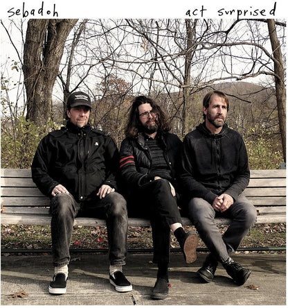 Sebadoh – Act Surprised (LP Vinyl) Vinyl Record
