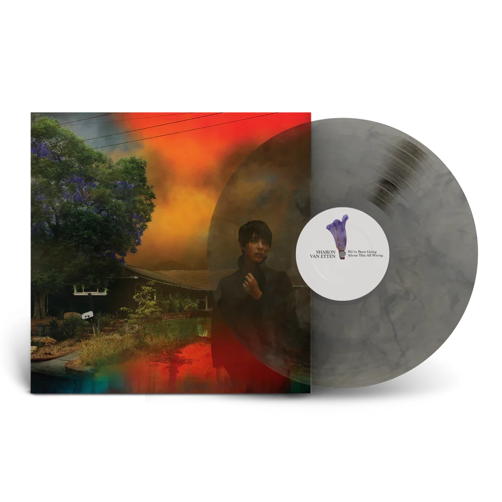 Sharon Van Etten - We've Been Going About This All Wrong [Smoke Marble] Vinyl Record