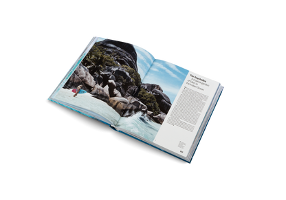 She Surf Book