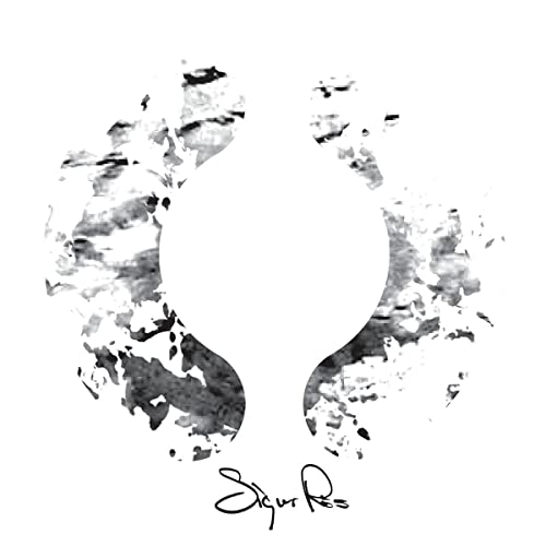 ( ) [Vinyl] Vinyl Record