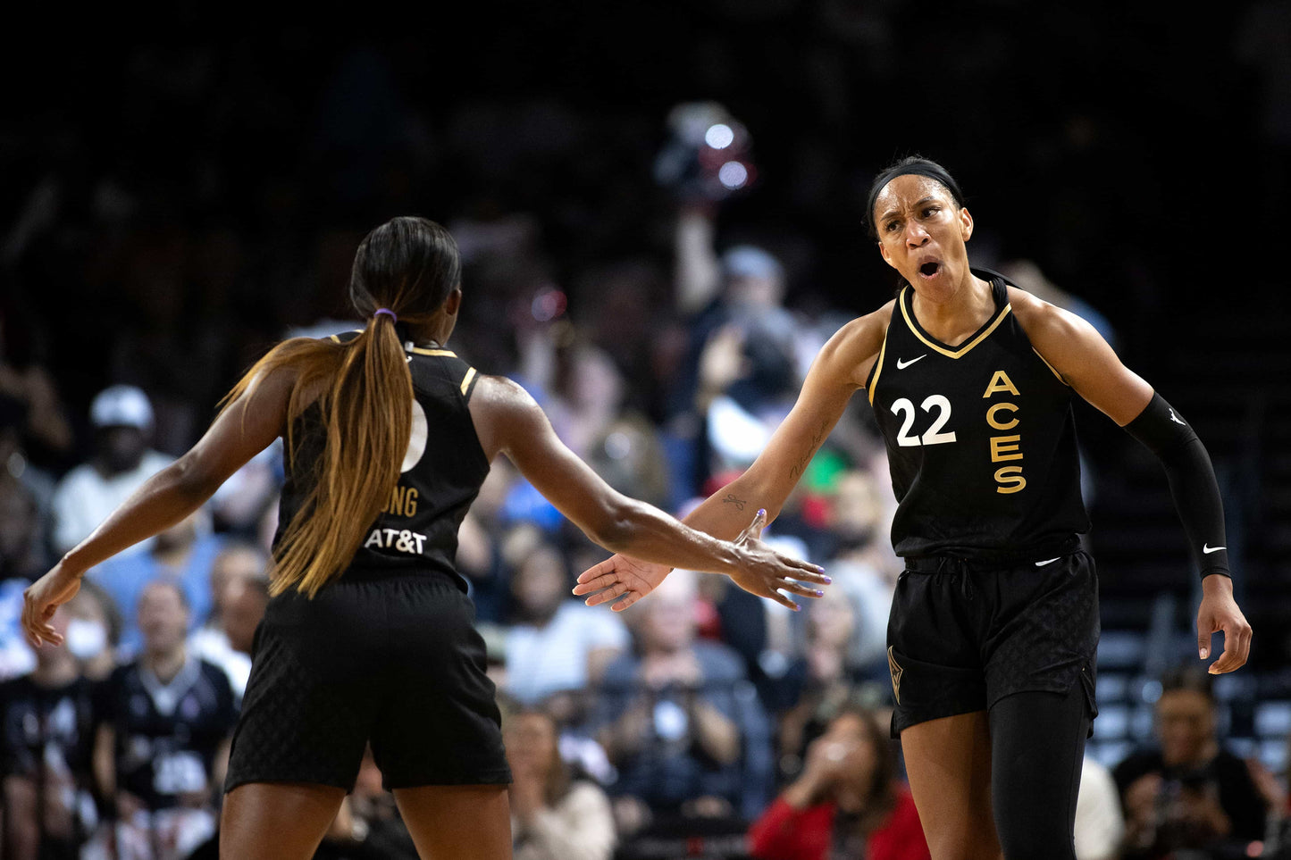 DOUBLE DOWN: How the Las Vegas Aces Won Back-to-Back Championships and Became the Greatest WNBA Team in History Book