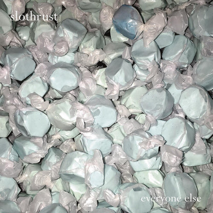 Slothrust – Everyone Else Music CD
