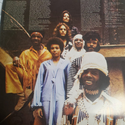 Sly & The Family Stone – Greatest Hits (LP Vinyl) Vinyl Record