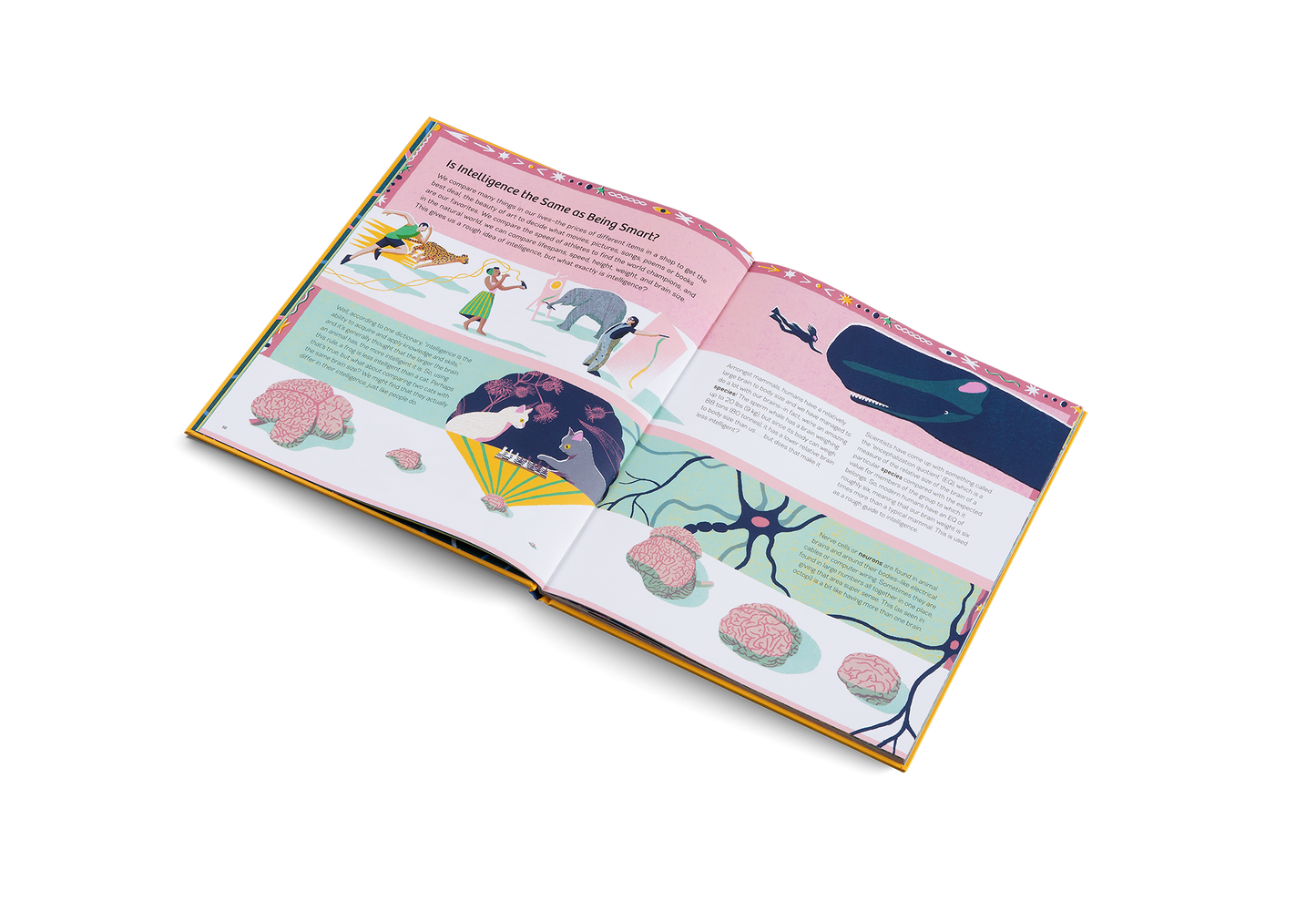 Smart Animals Book