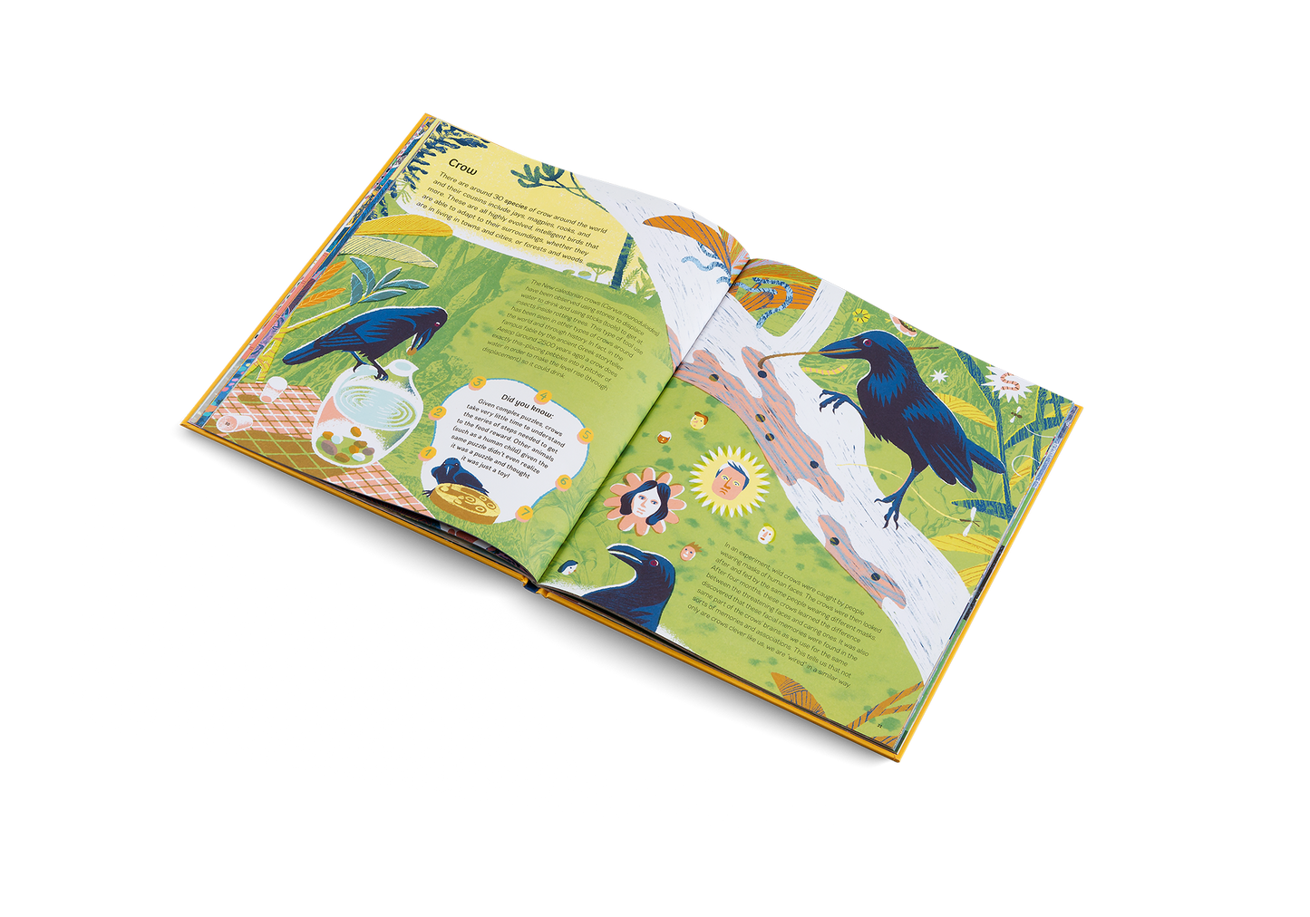 Smart Animals Book