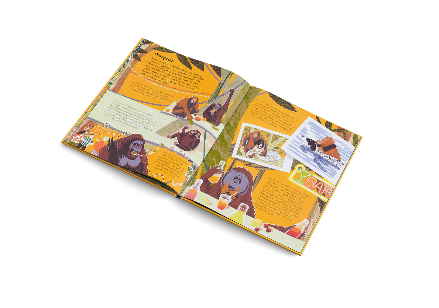 Smart Animals Book