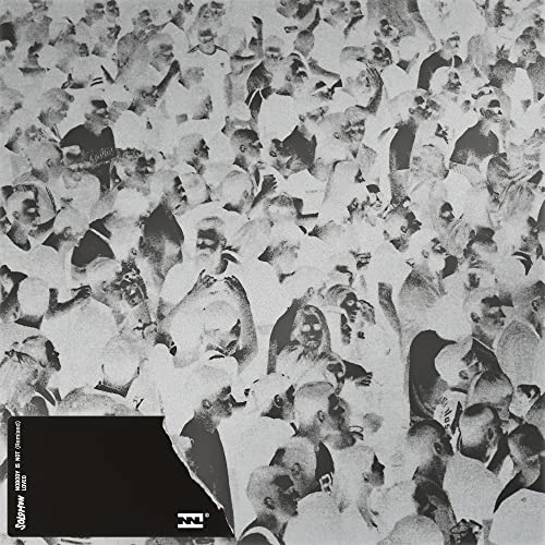 Nobody is Not Loved (Remixed) Vinyl Record