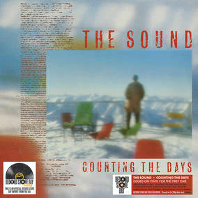 Counting The Days (180g Clear Vinyl) (RSD 4/23/2022) Vinyl Record