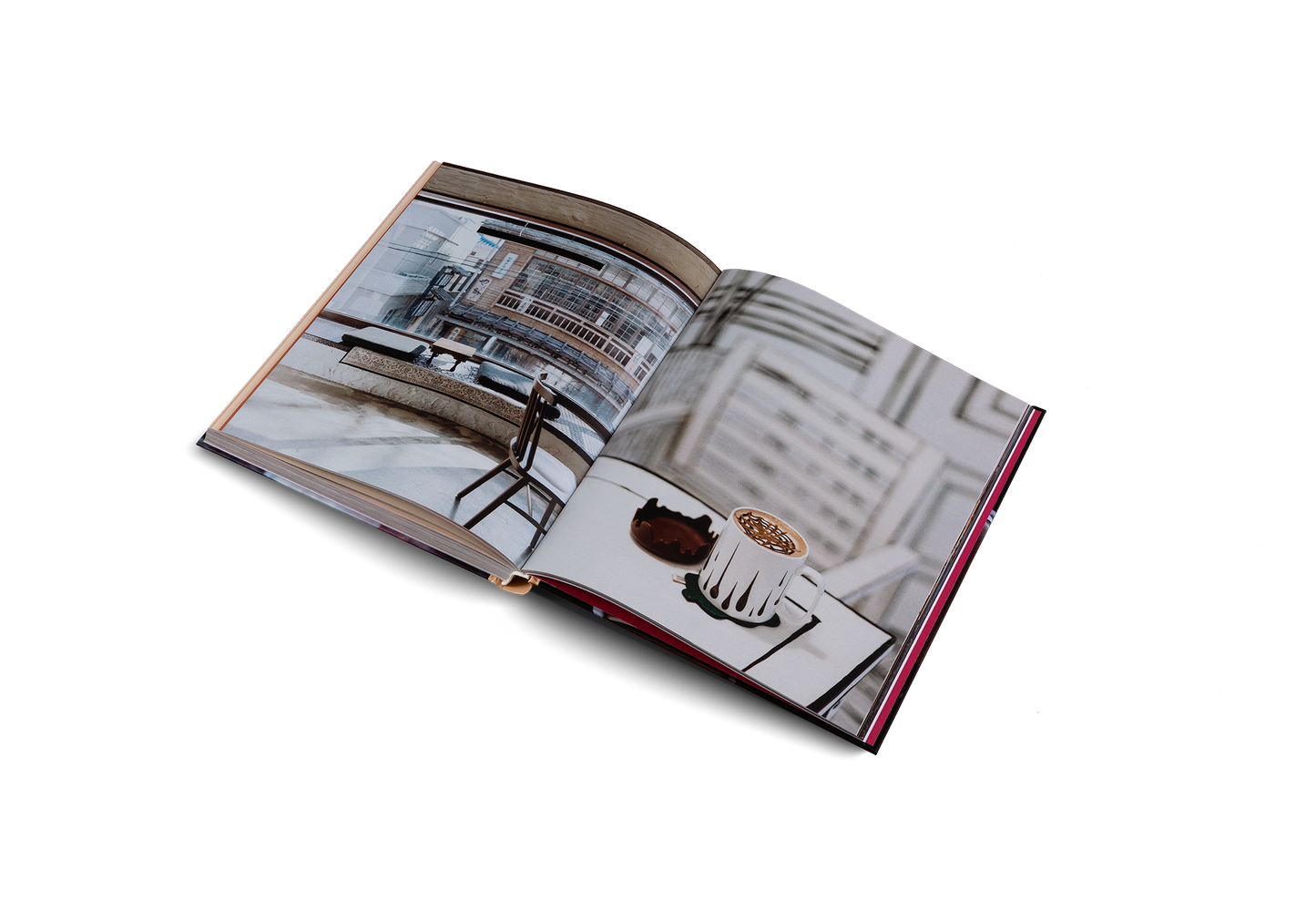 Spill the Beans (Updated Edition) Book