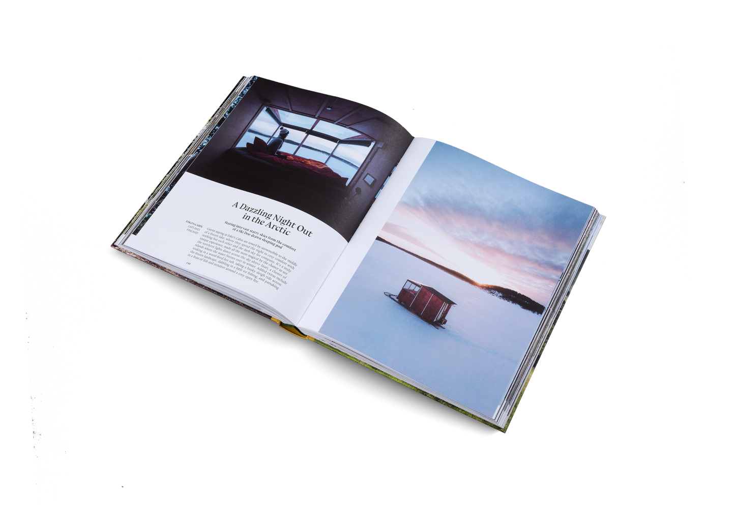 Stay Wild Book