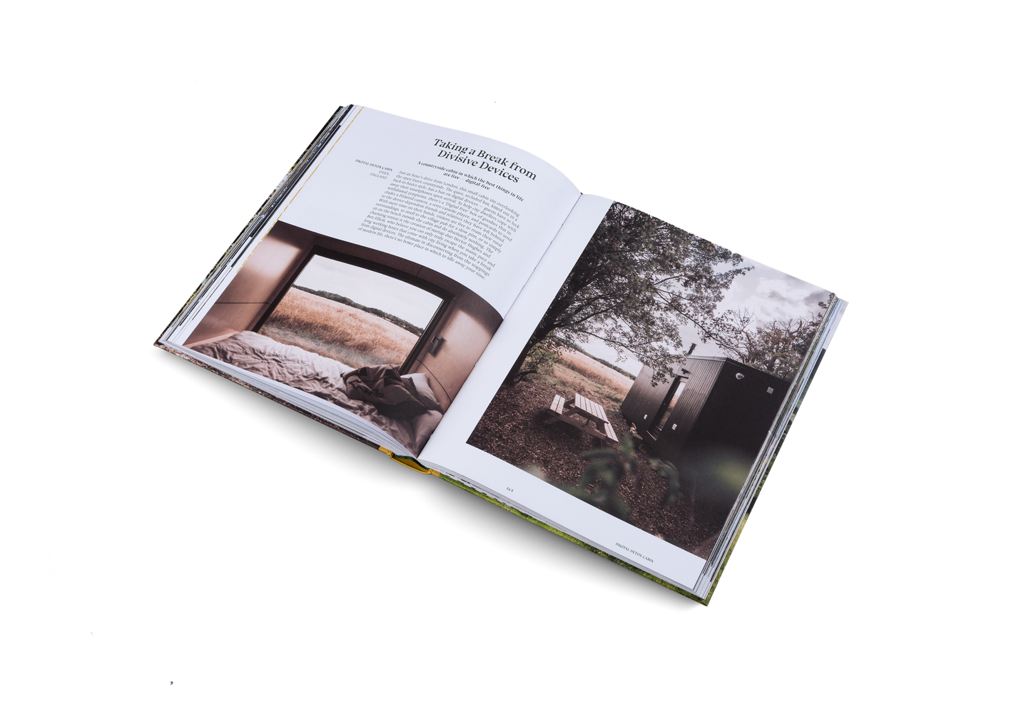 Stay Wild Book