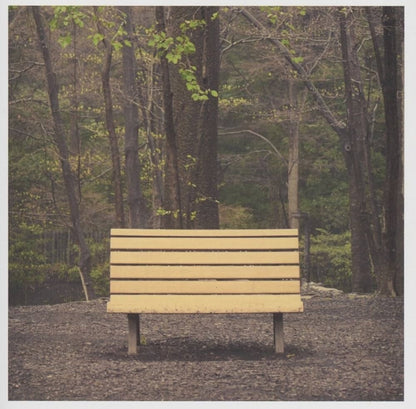 Streetlight Manifesto – Hands That Thieve (Colored, Reissue LP Vinyl) Vinyl Record