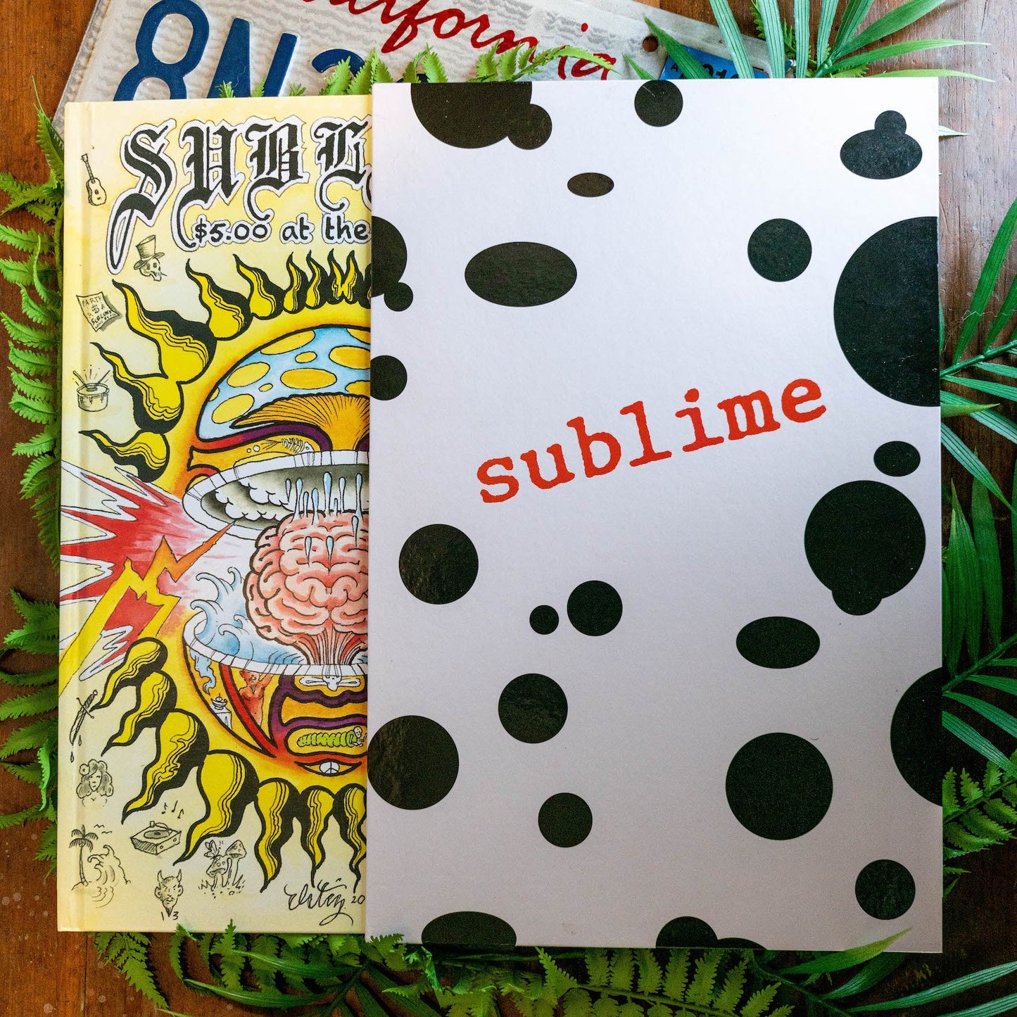 Sublime $5 at the Door Deluxe Book