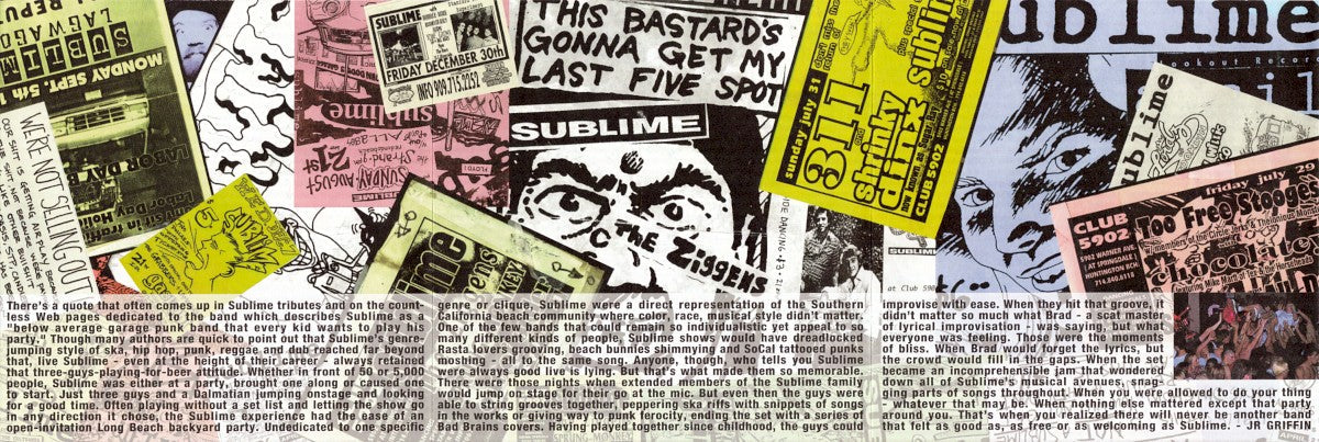 Sublime – Stand By Your Van (LP Vinyl) Vinyl Record