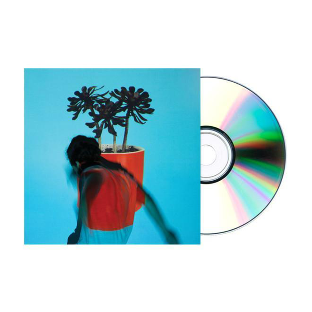 Local Natives Sunlit Youth Music CD