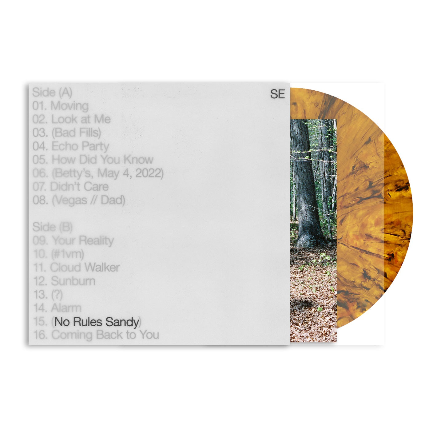 Sylvan Esso - No Rules Sandy [Tiger's Eye LP] Vinyl Record