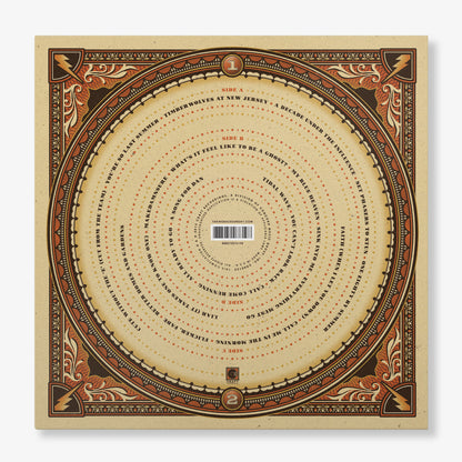 Twenty (2-LP) Vinyl Record