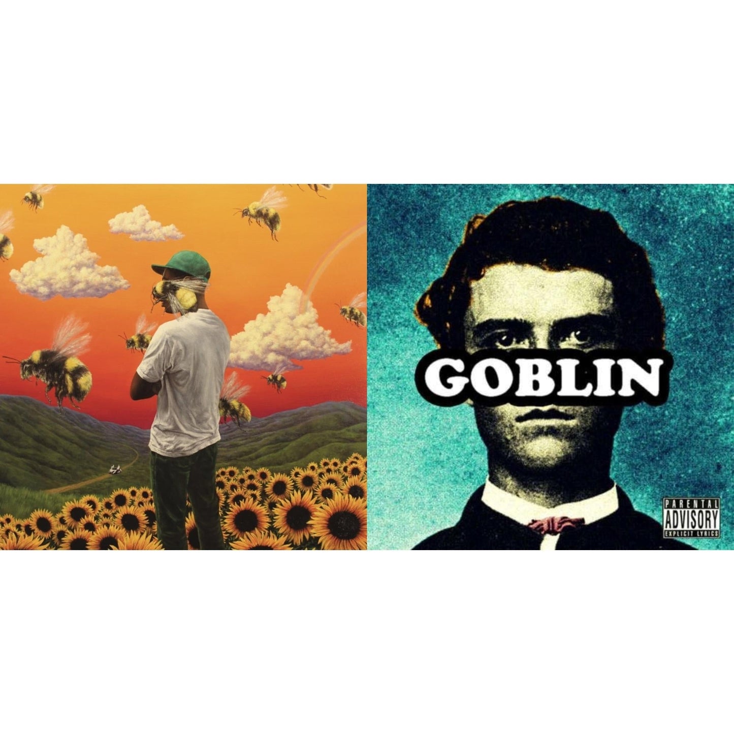 The Creator Tyler - Flower Boy (2LP/150G) & Goblin