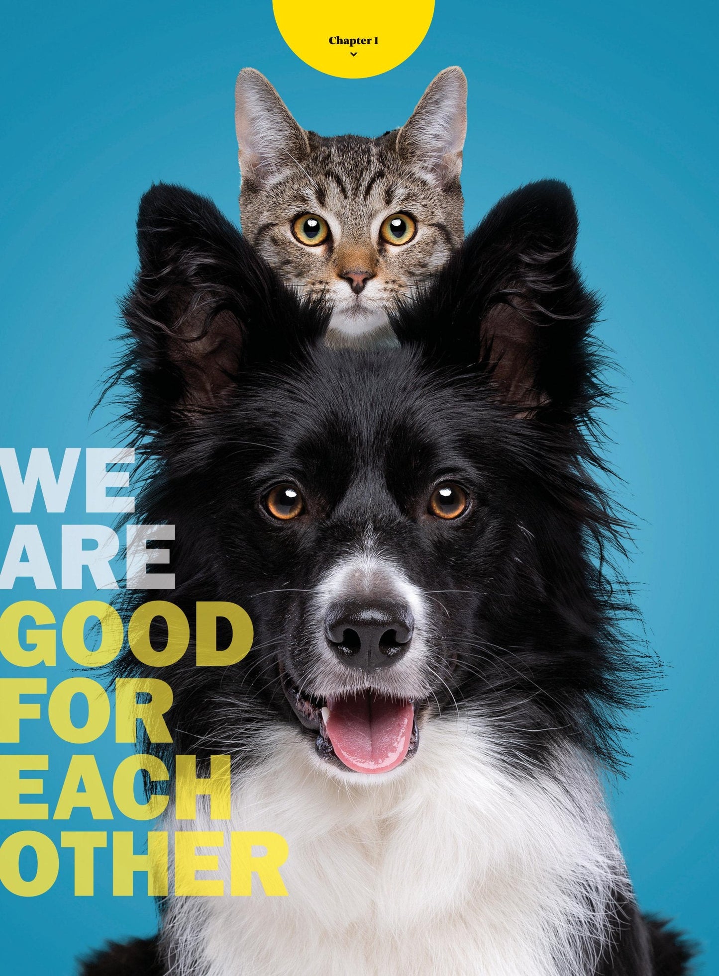 TIME Special Edition - Pets: Guide To Understanding Our Best Friends, Human & Pet Relationship, Scientific Benefits, Inside Your Dog & Cats Mind, Communication Tips, Training Tricks, Fun Facts & More!