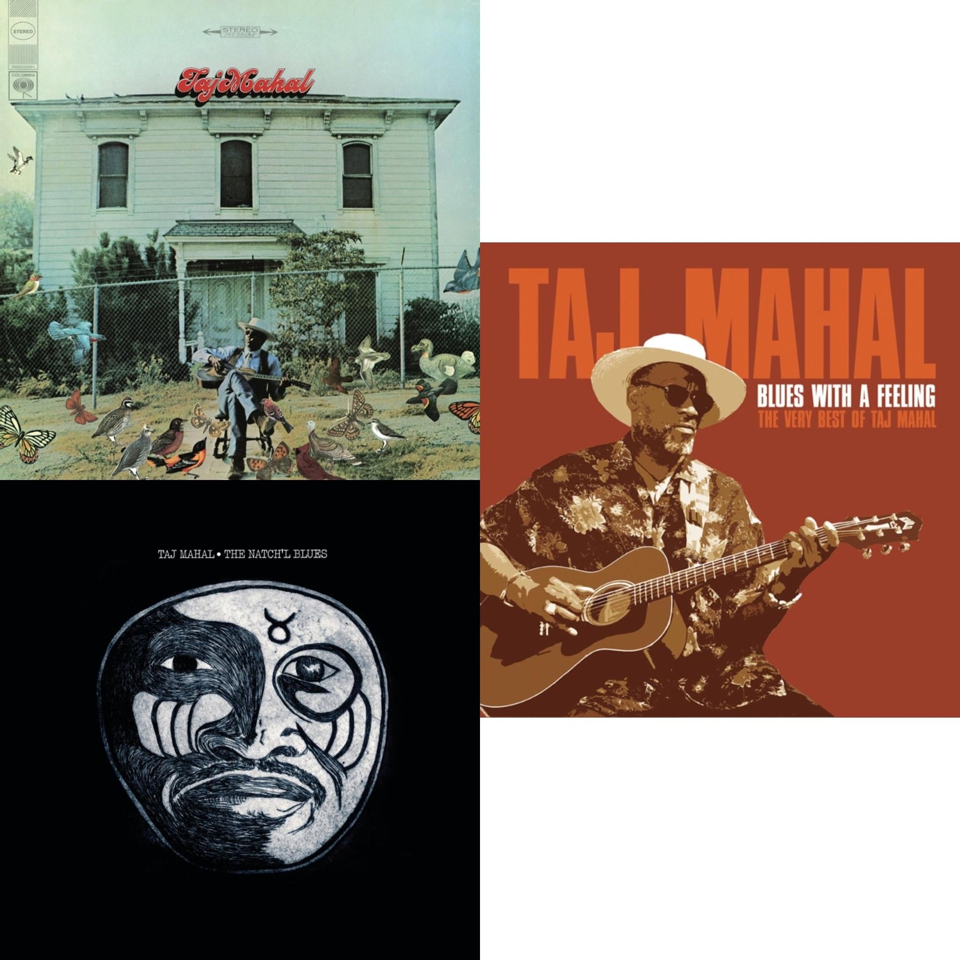 Taj Mahal - Taj Mahal & Natch'l Blues & Blues With A Feeling: Very Best Of - CD Bundle