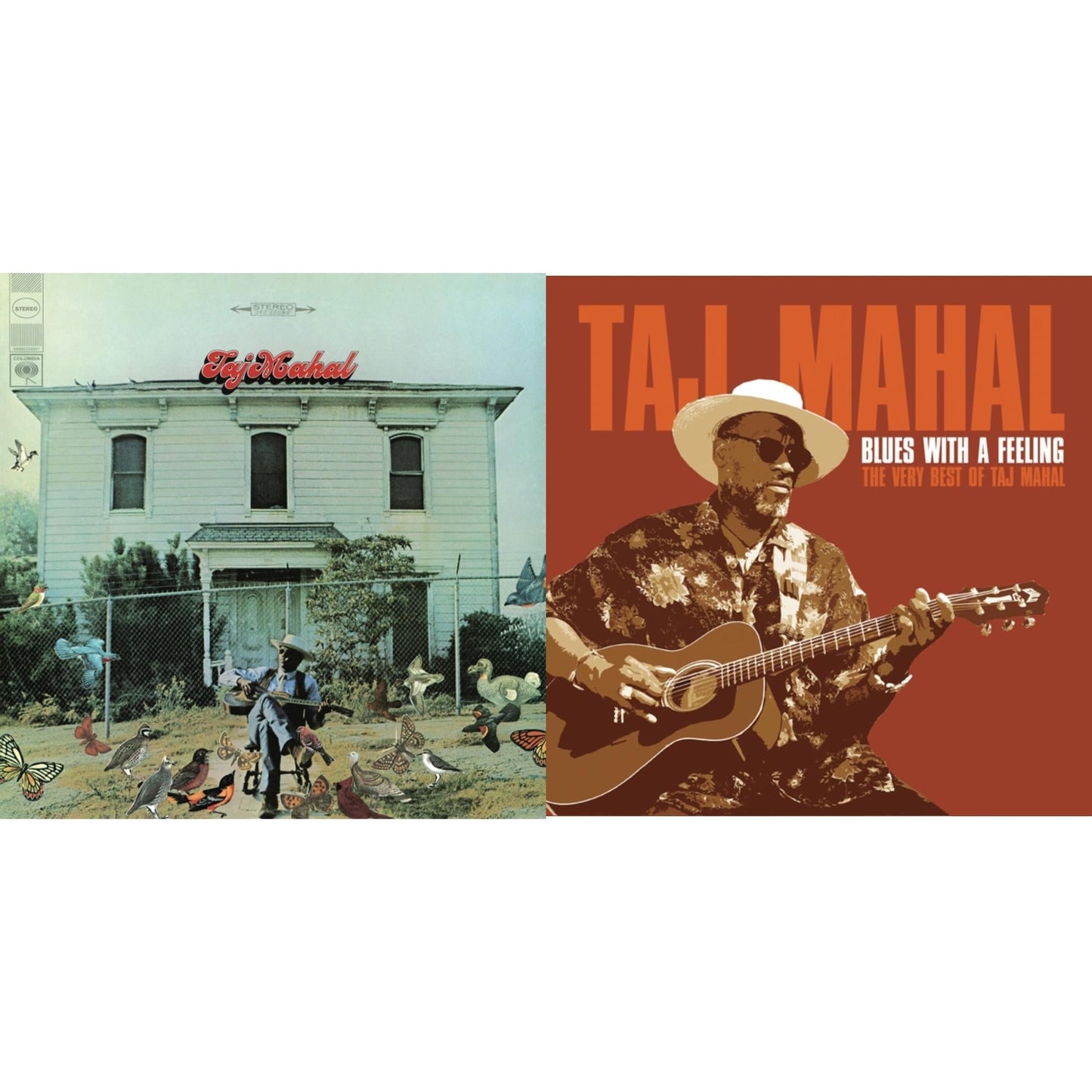 Taj Mahal - Taj Mahal & Blues With A Feeling: Very Best Of - CD Bundle