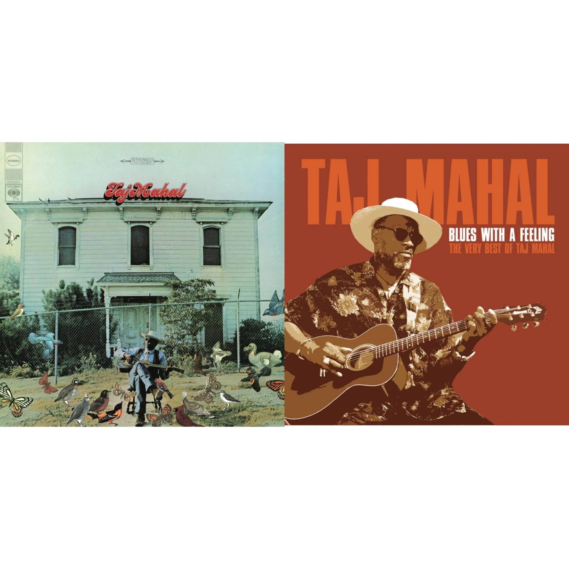 Taj Mahal - Taj Mahal & Blues With A Feeling: Very Best Of - CD Bundle