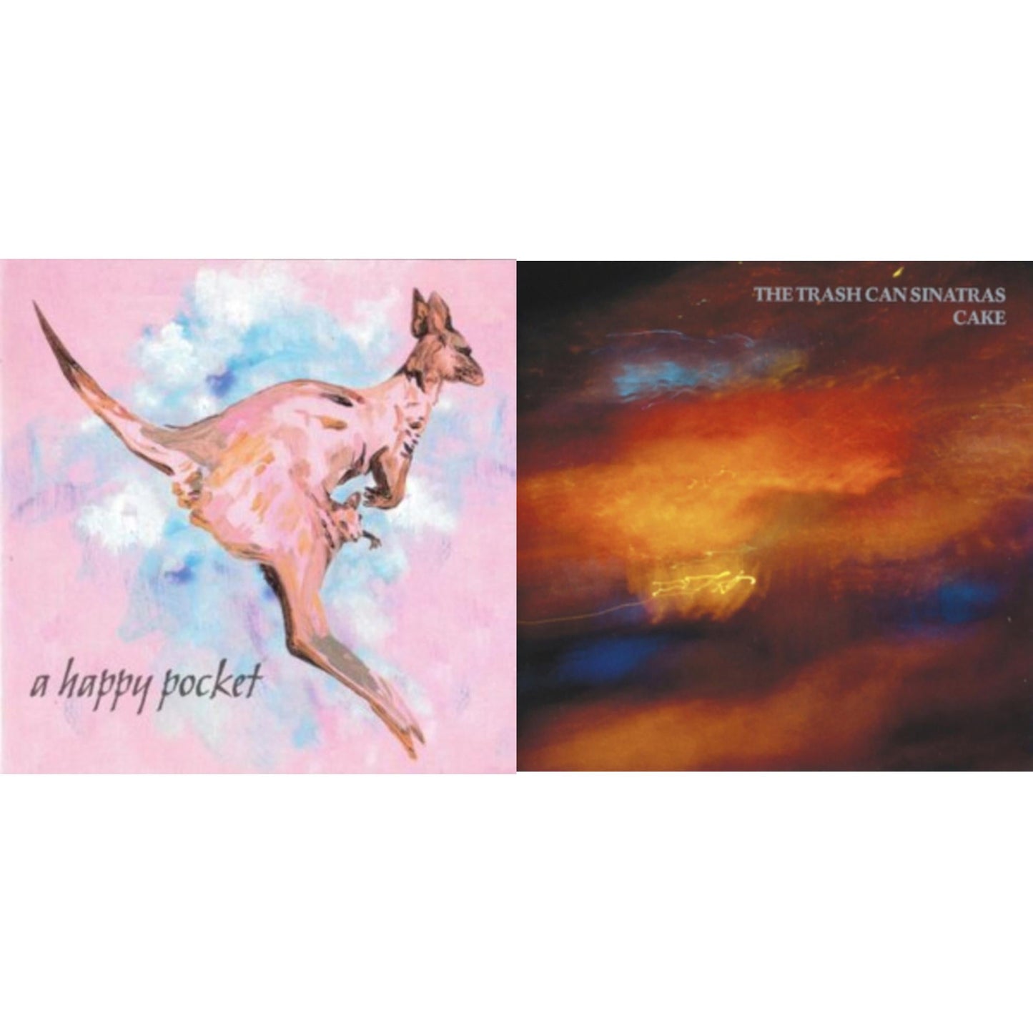 Trashcan Sinatras - Cake & Happy Pocket (2LP)