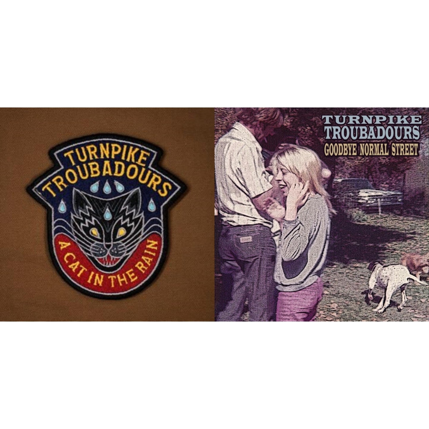 Turnpike Troubadours - Cat In The Rain & Goodbye Normal Street - LP Vinyl Bundle