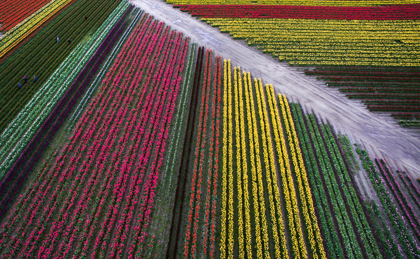 A Year in the Fields: The State of the Washington Farmer Book