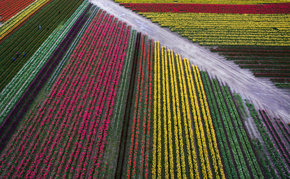 A Year in the Fields: The State of the Washington Farmer Book