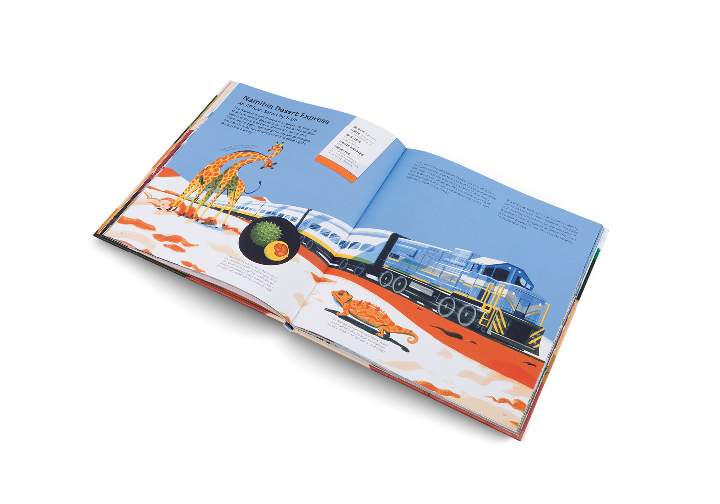 Tales of the Rails Book