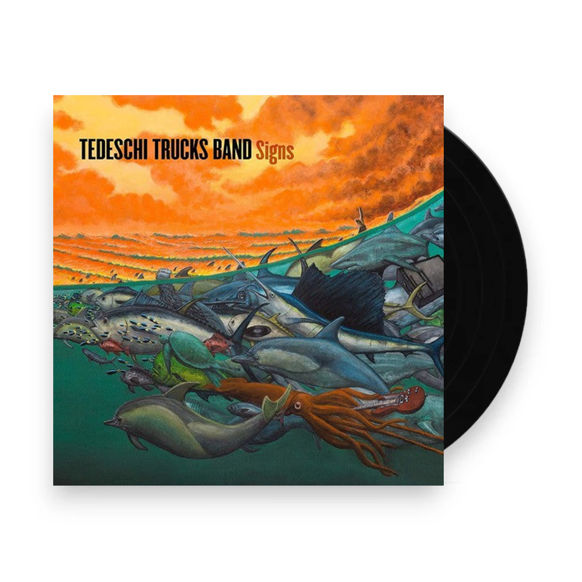 Tedeschi Trucks Band – Signs (2-LP Vinyl) Vinyl Record