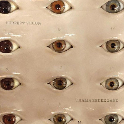 Thalia Zedek Band – Perfect Vision Music CD