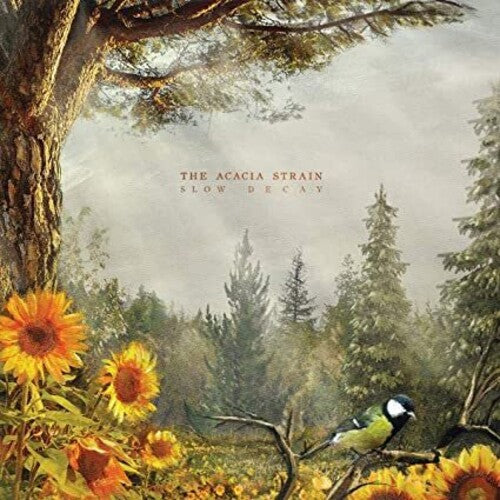 Slow Decay [Vinyl] Vinyl Record