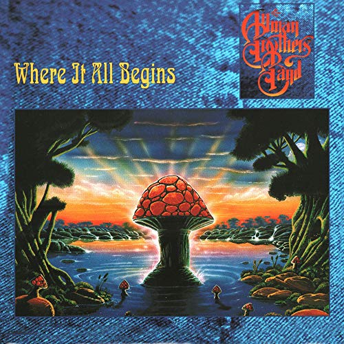 The Allman Brothers Band - Where It All Begins Vinyl Record