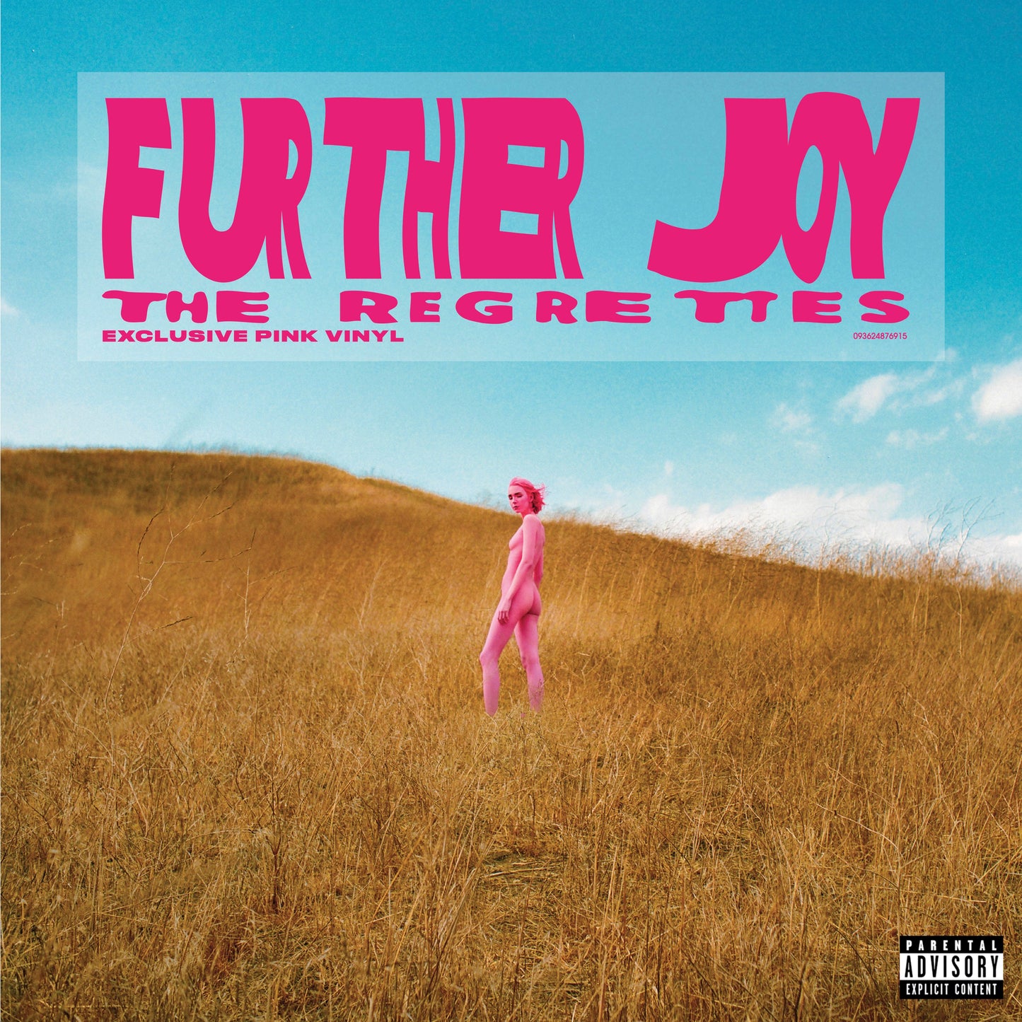 The Regrettes Vinyl Record