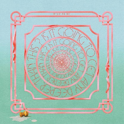 The Soft Pink Truth – Is It Going To Get Any Deeper Than This (2-LP Vinyl) Vinyl Record