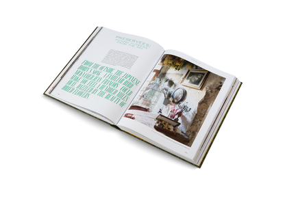 The Beauty of Time Travel Book