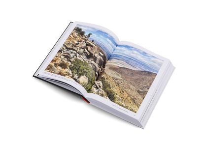 The Great Alone Book