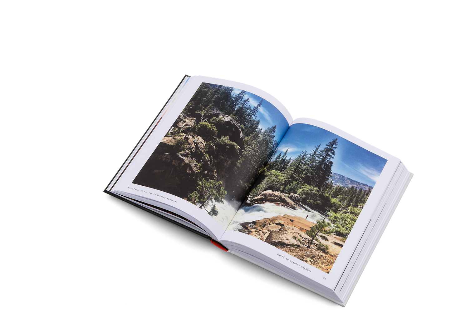 The Great Alone Book