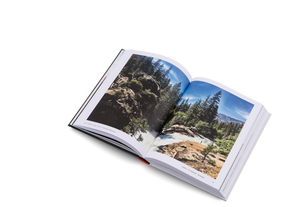The Great Alone Book