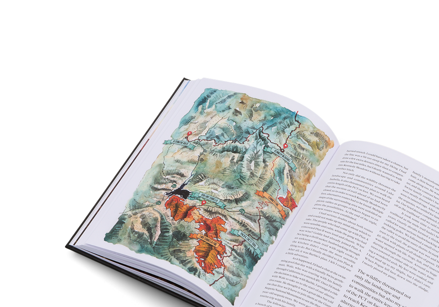 The Great Alone Book