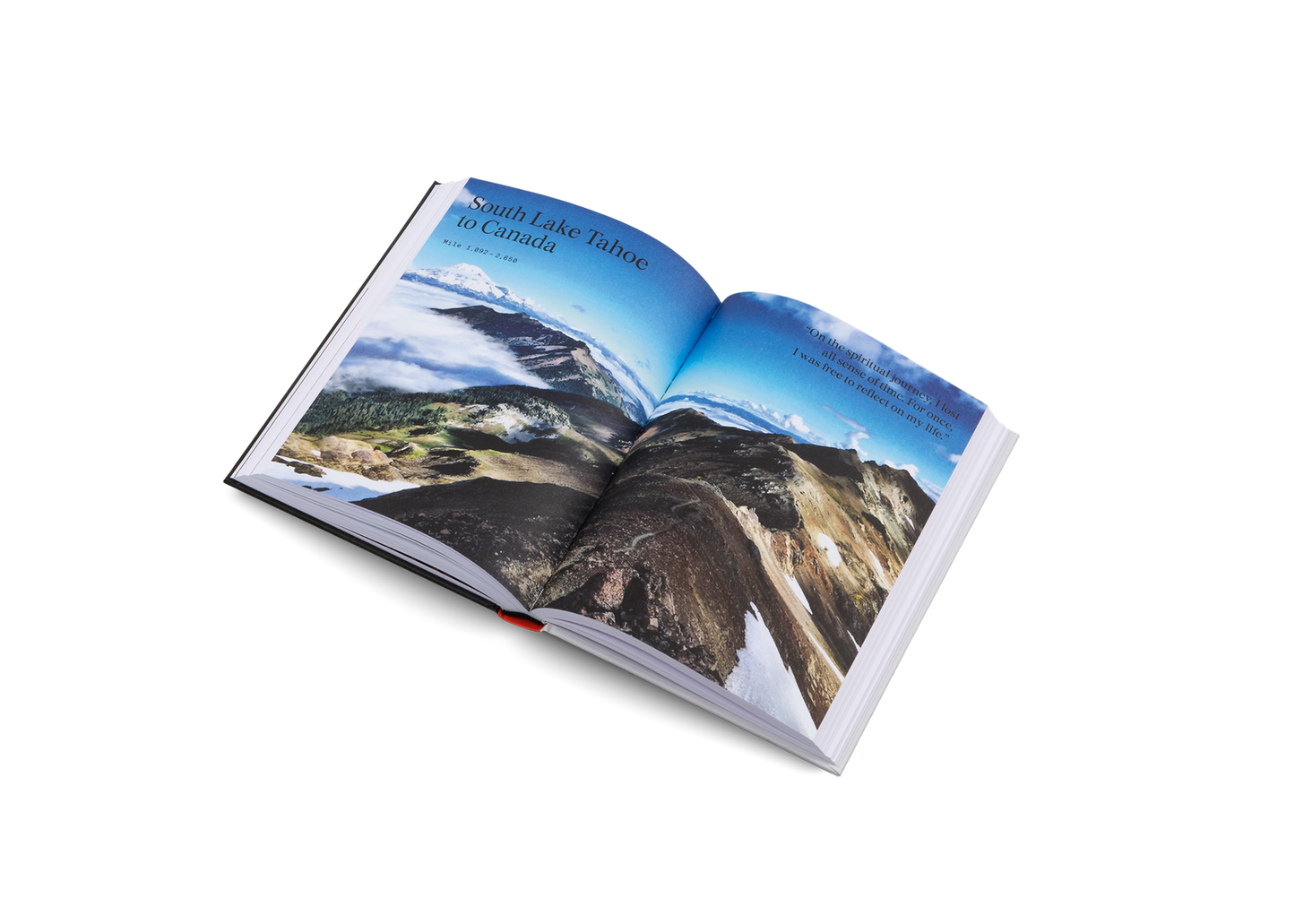 The Great Alone Book