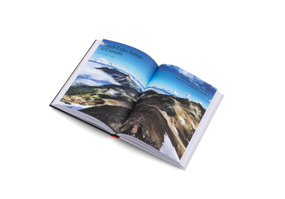 The Great Alone Book